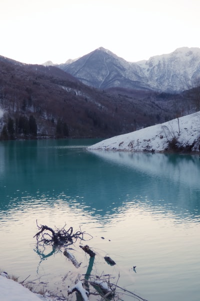 浮木在水体面临着山
